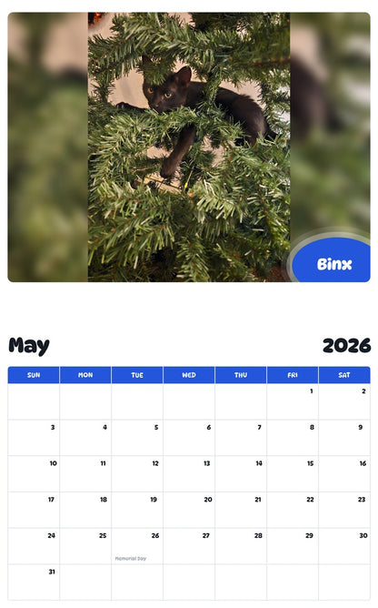 2026 - 2027 Binx - Pawidols Pet Calendar