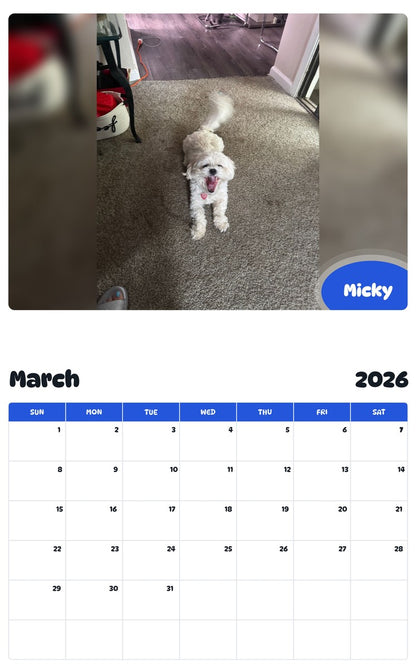 November 2025 - October 2026 Micky - Pawidols Pet Calendar