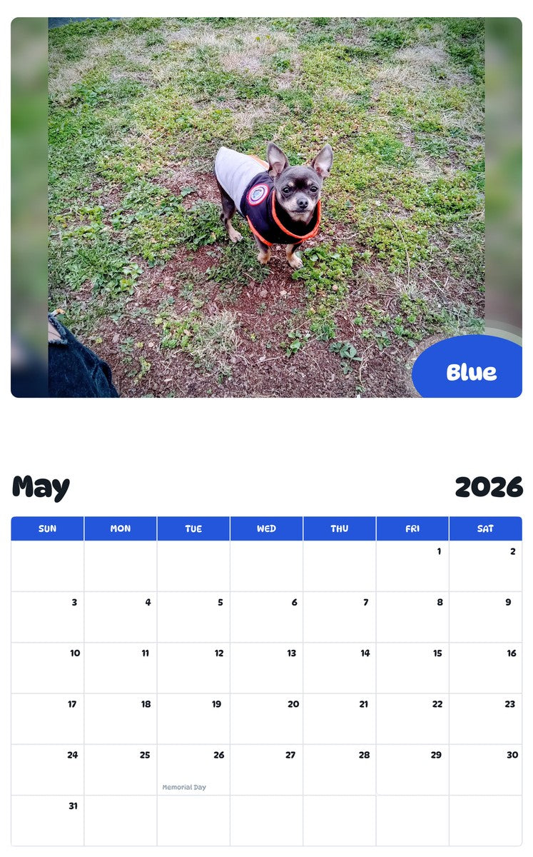 2026 - 2027 Blue - Pawidols Pet Calendar