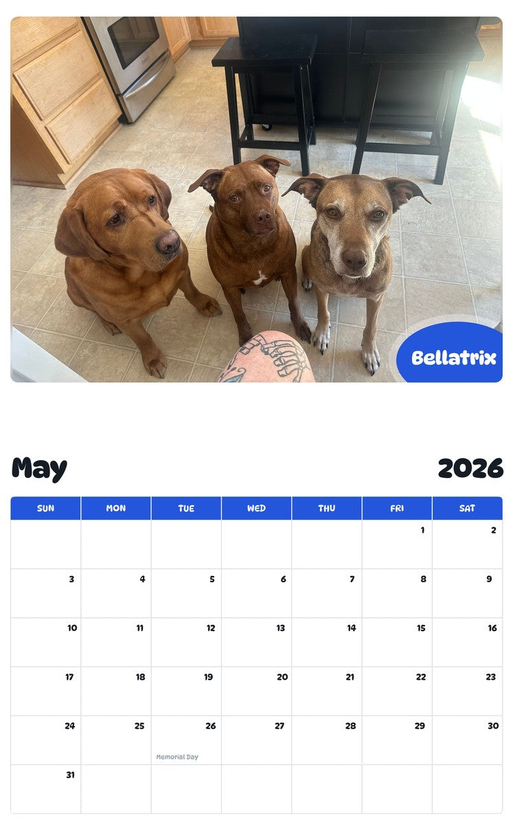 2026 - 2027 Bellatrix - Pawidols Pet Calendar