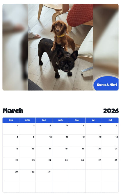 November 2025 - October 2026 Kona & Mint - Pawidols Pet Calendar