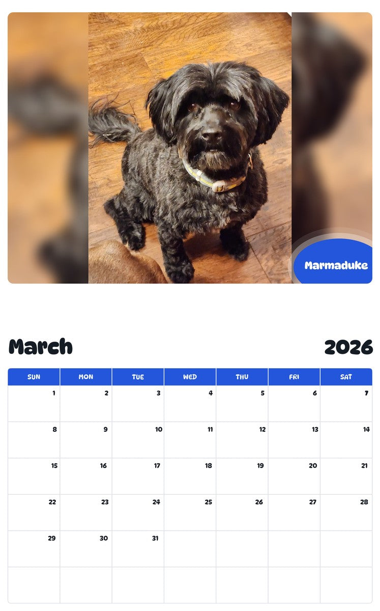 November 2025 - October 2026 Marmaduke - Pawidols Pet Calendar