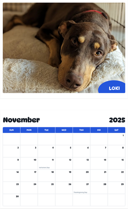July 2025 - June 2026 Loki - Pawidols Pet Calendar