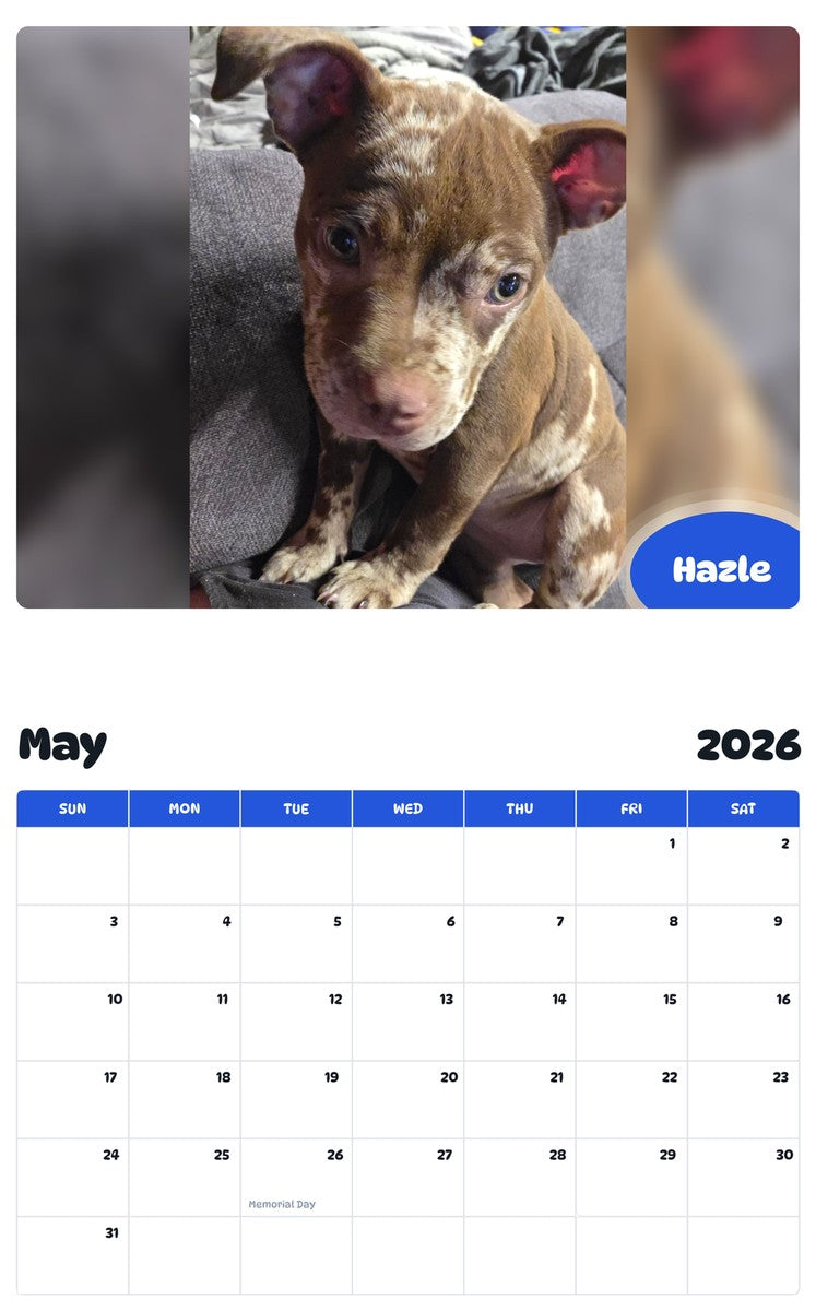2026 - 2027 Hazle - Pawidols Pet Calendar