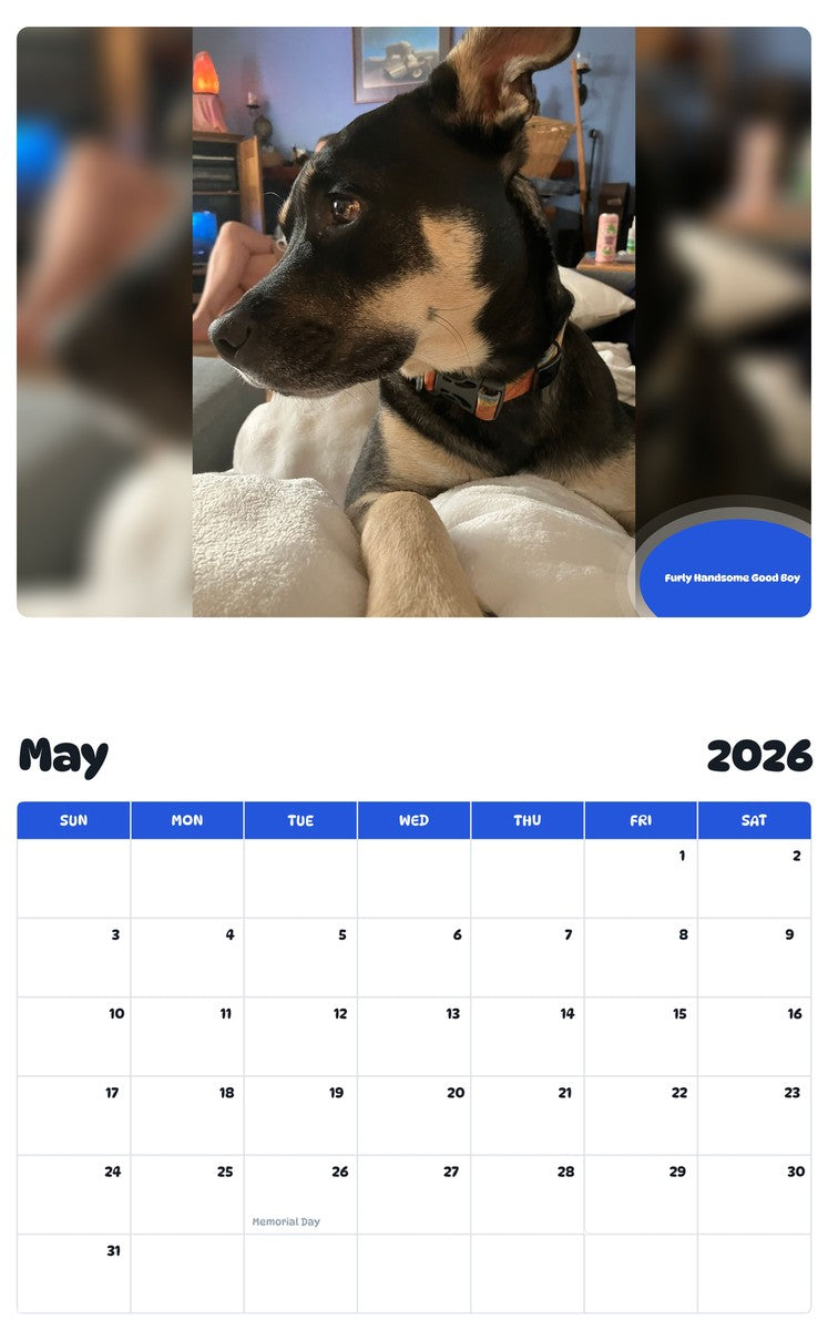 2026 - 2027 Furly Handsome Good Boy - Pawidols Pet Calendar