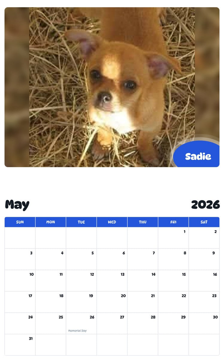 2026 - 2027 Sadie - Pawidols Pet Calendar