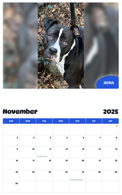 July 2025 - June 2026 Xena - Pawidols Pet Calendar