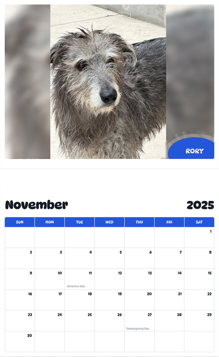 July 2025 - June 2026 Rory - Pawidols Pet Calendar