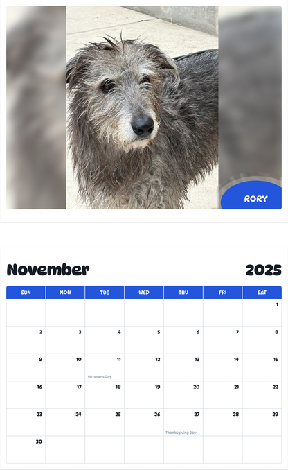 July 2025 - June 2026 Rory - Pawidols Pet Calendar