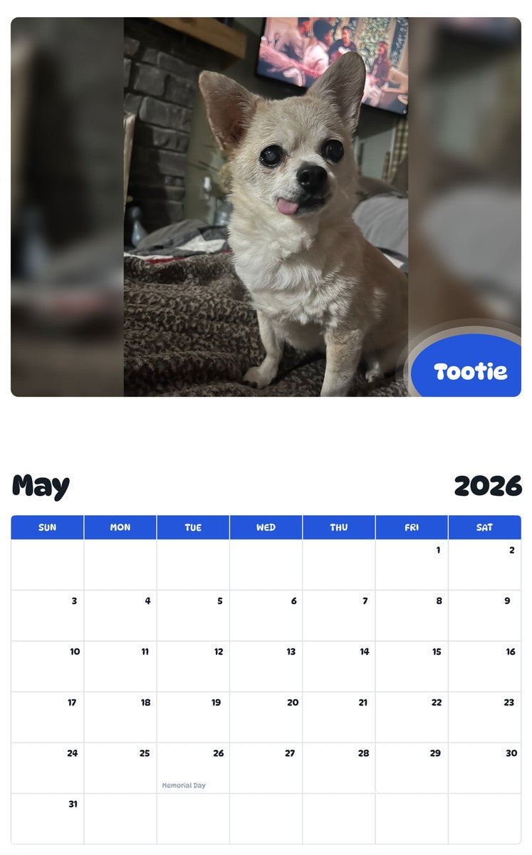2026 - 2027 Tootie - Pawidols Pet Calendar