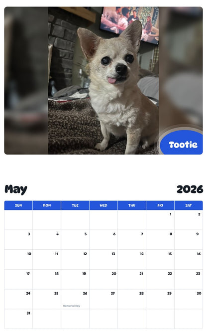 2026 - 2027 Tootie - Pawidols Pet Calendar