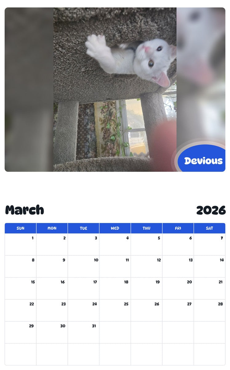 November 2025 - October 2026 Devious - Pawidols Pet Calendar