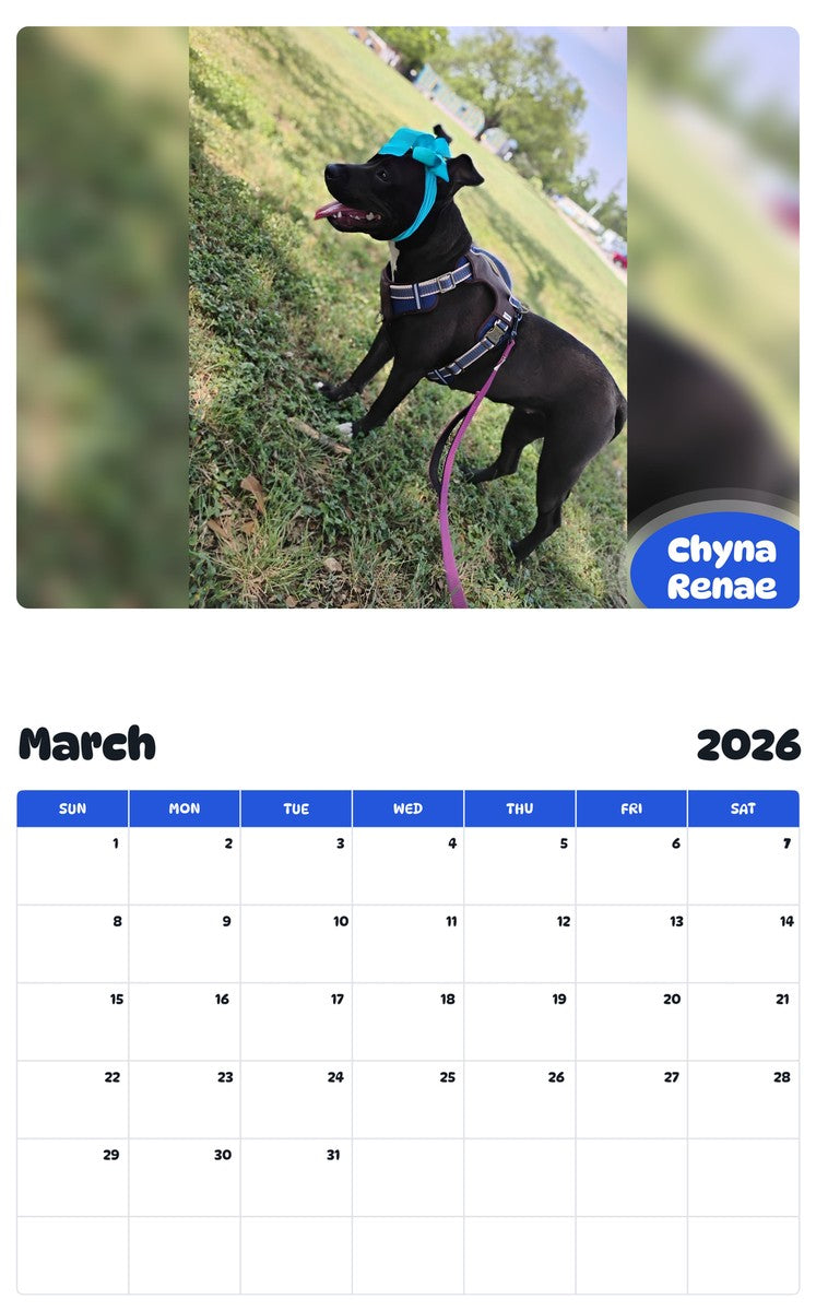 November 2025 - October 2026 Chyna Renae - Pawidols Pet Calendar