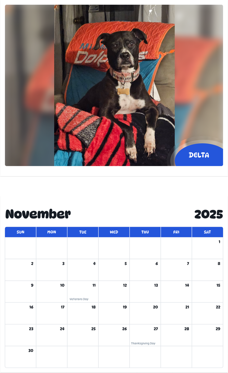 July 2025 - June 2026 Delta - Pawidols Pet Calendar
