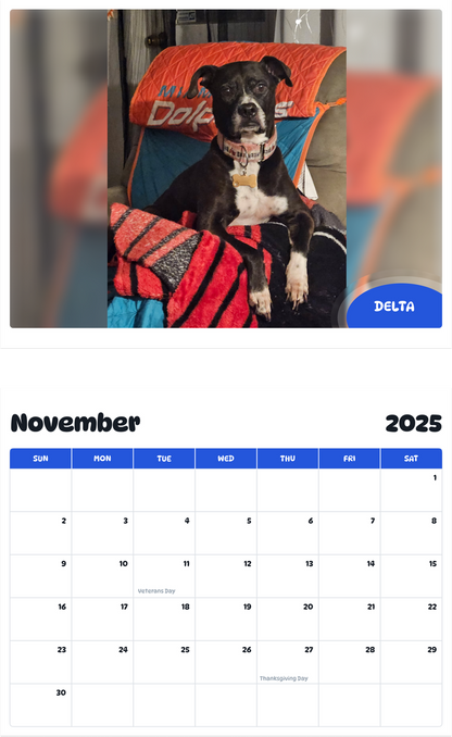 July 2025 - June 2026 Delta - Pawidols Pet Calendar