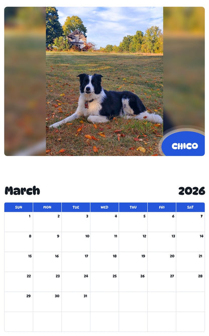 November 2025 - October 2026 CHICO - Pawidols Pet Calendar