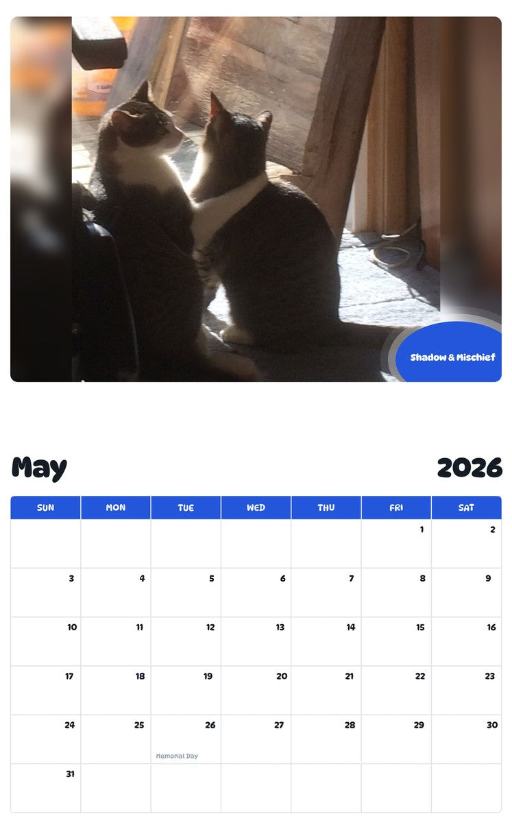 2026 - 2027 Shadow & Mischief - Pawidols Pet Calendar