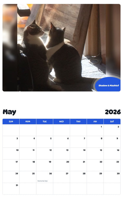 2026 - 2027 Shadow & Mischief - Pawidols Pet Calendar