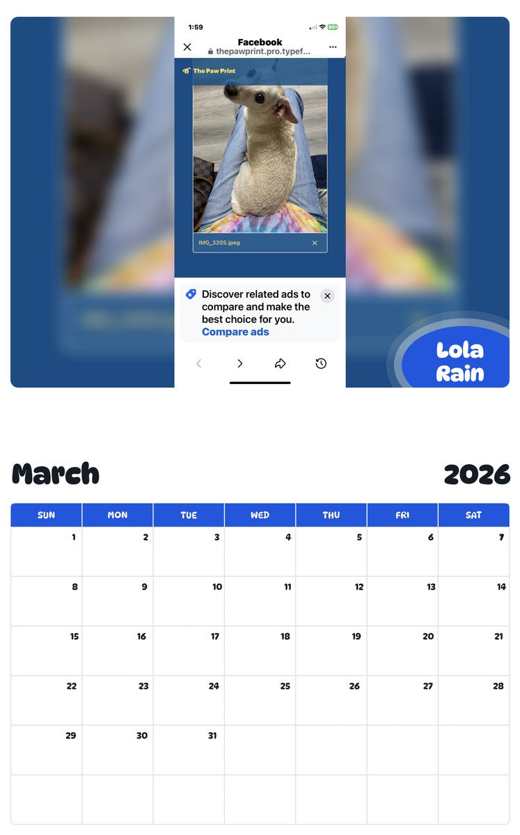 November 2025 - October 2026 Lola Rain - Pawidols Pet Calendar