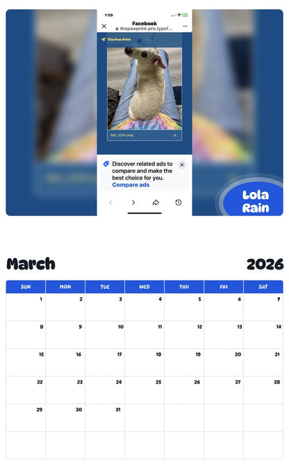 November 2025 - October 2026 Lola Rain - Pawidols Pet Calendar