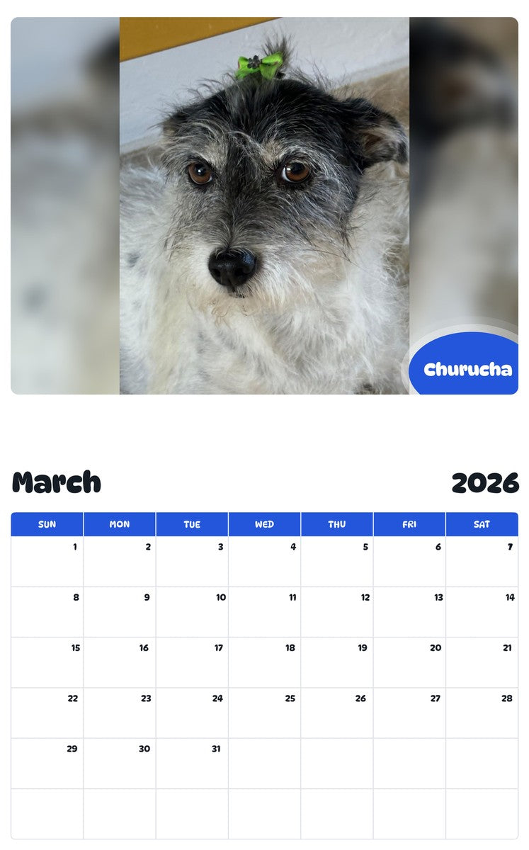 November 2025 - October 2026 Churucha - Pawidols Pet Calendar