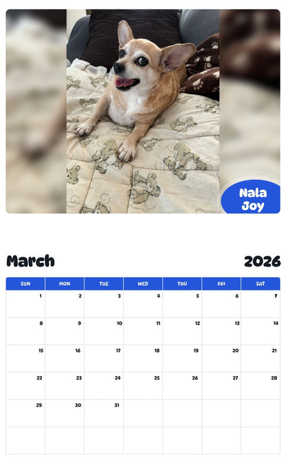 November 2025 - October 2026 Nala Joy - Pawidols Pet Calendar