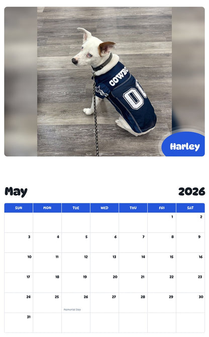 2026 - 2027 Harley - Pawidols Pet Calendar