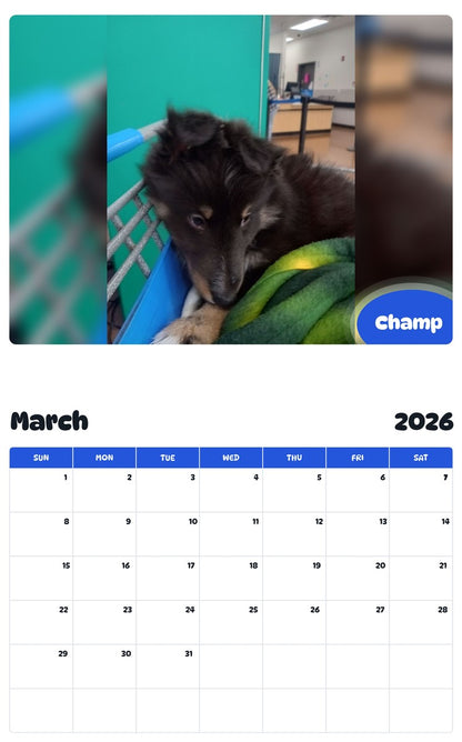 November 2025 - October 2026 Champ - Pawidols Pet Calendar