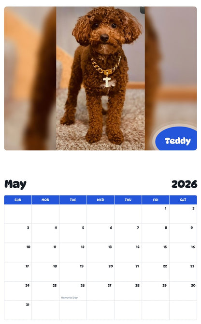 2026 - 2027 Teddy - Pawidols Pet Calendar