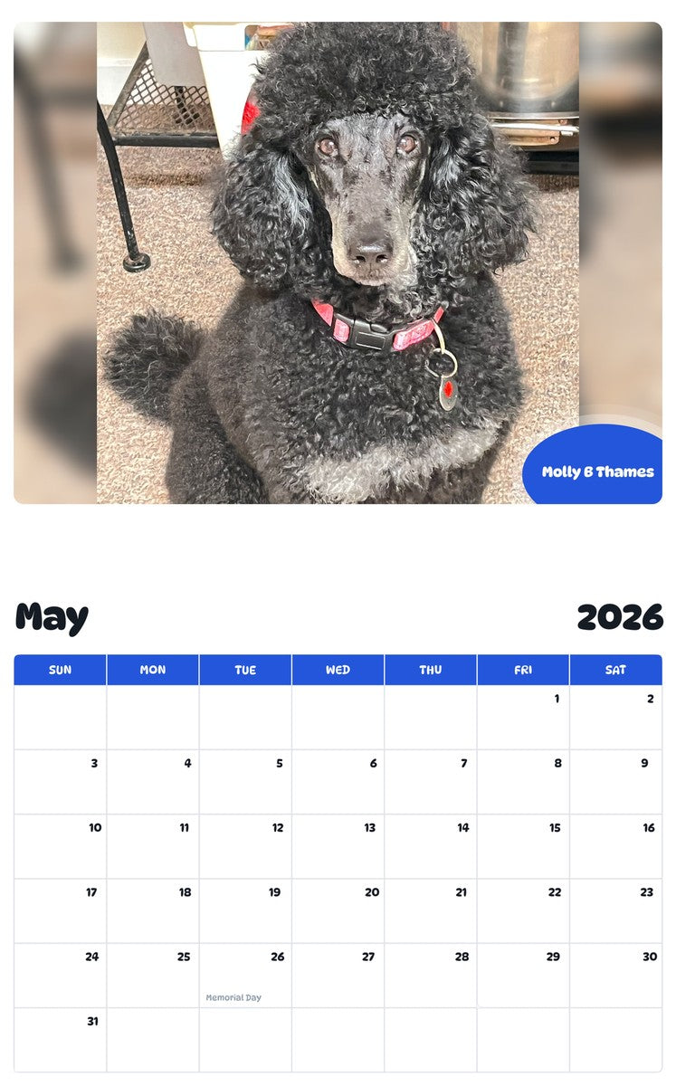 2026 - 2027 Molly B Thames - Pawidols Pet Calendar