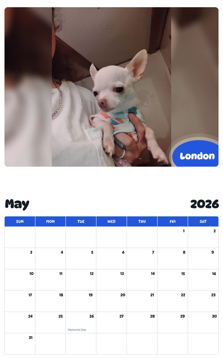 2026 - 2027 London - Pawidols Pet Calendar