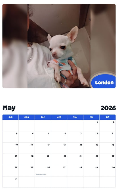 2026 - 2027 London - Pawidols Pet Calendar