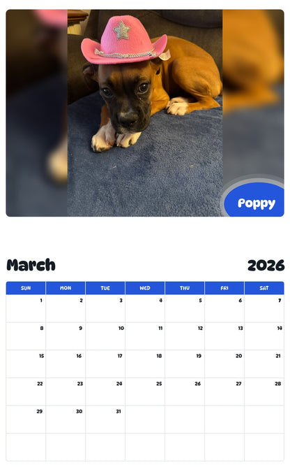 November 2025 - October 2026 Poppy - Pawidols Pet Calendar