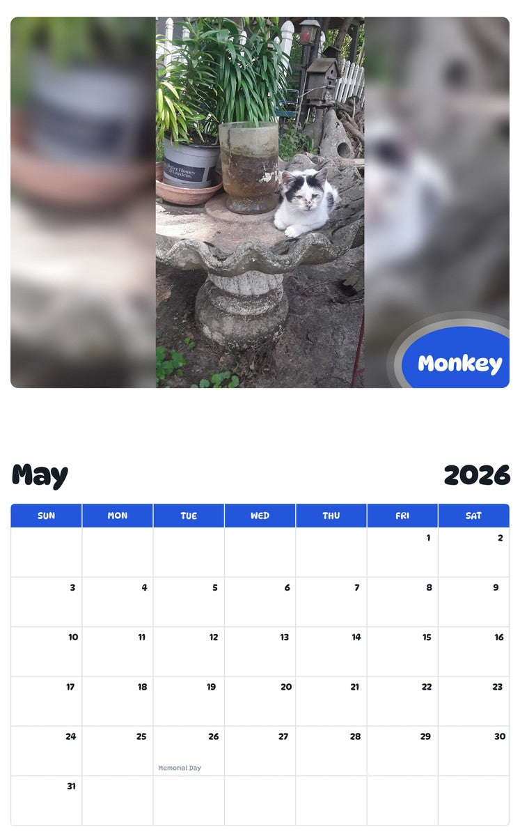 2026 - 2027 Monkey - Pawidols Pet Calendar
