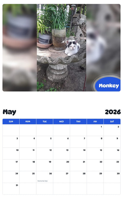 2026 - 2027 Monkey - Pawidols Pet Calendar