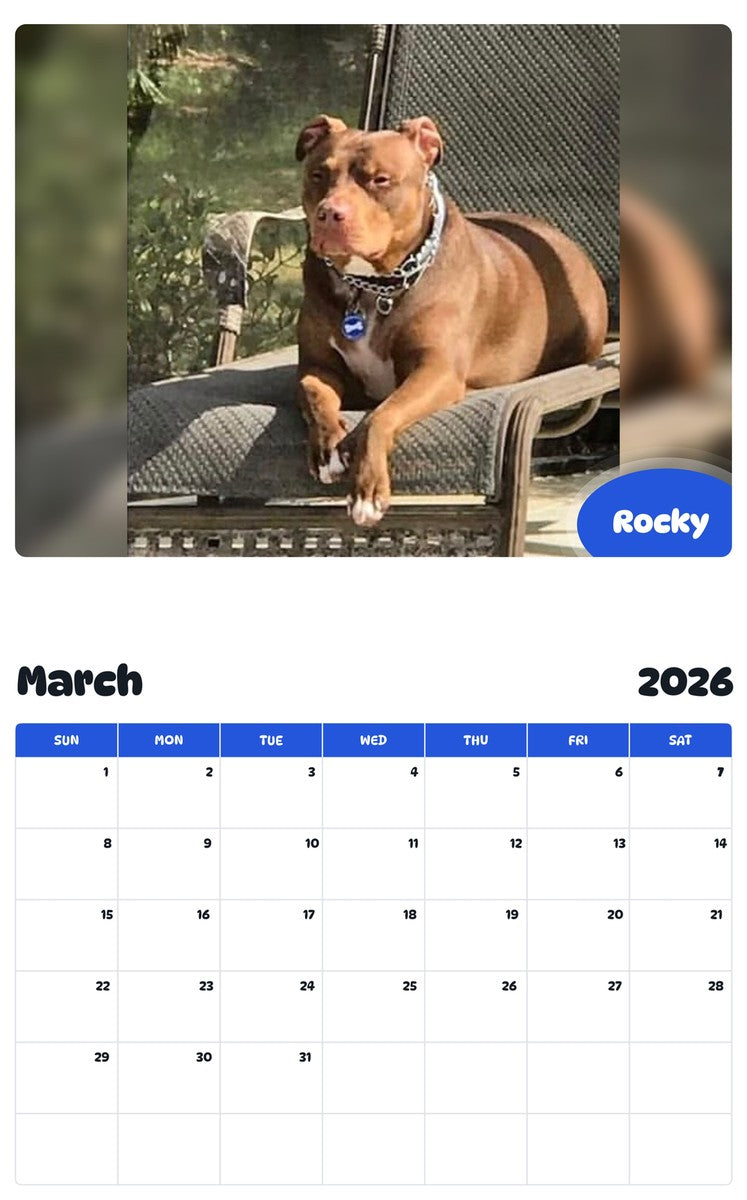 November 2025 - October 2026 Rocky - Pawidols Pet Calendar