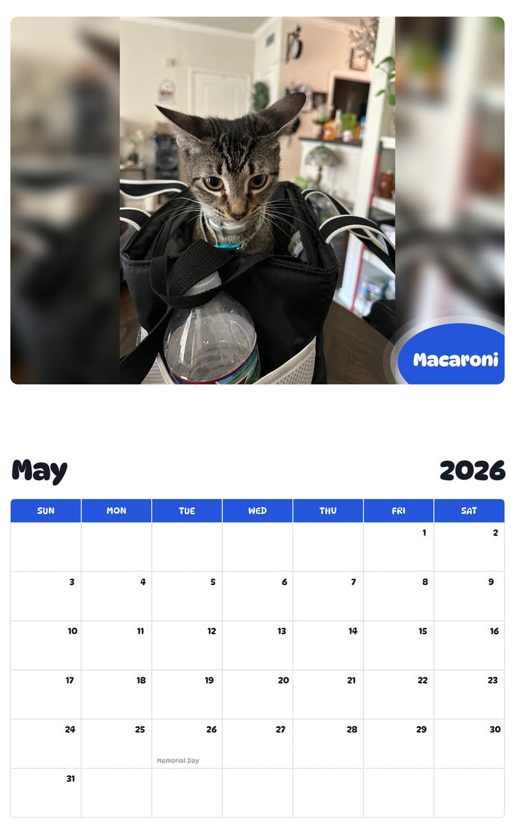 2026 - 2027 Macaroni - Pawidols Pet Calendar