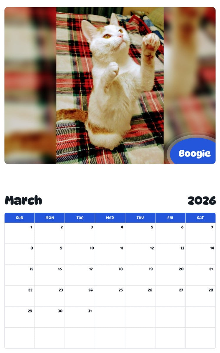 November 2025 - October 2026 Boogie - Pawidols Pet Calendar