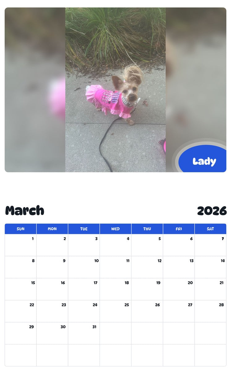 November 2025 - October 2026 Lady - Pawidols Pet Calendar