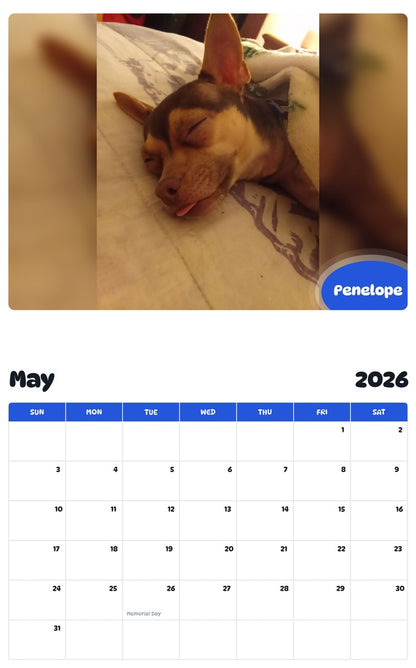 2026 - 2027 Penelope - Pawidols Pet Calendar