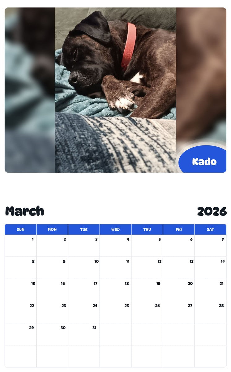 November 2025 - October 2026 Kado - Pawidols Pet Calendar