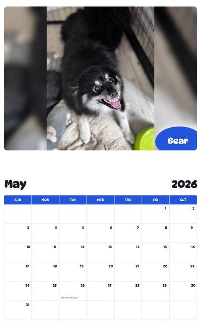 2026 - 2027 Bear - Pawidols Pet Calendar