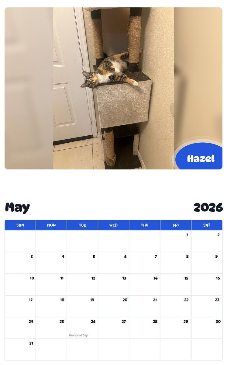 2026 - 2027 Hazel - Pawidols Pet Calendar