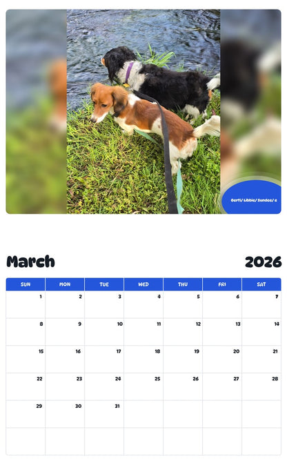 November 2025 - October 2026 Gerti/ Libbie/ Sundee/ e - Pawidols Pet Calendar