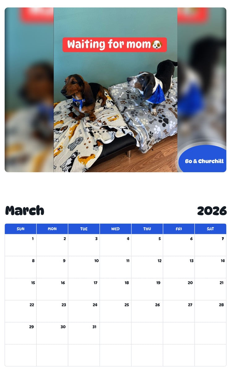 November 2025 - October 2026 Bo & Churchill - Pawidols Pet Calendar