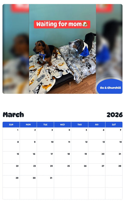 November 2025 - October 2026 Bo & Churchill - Pawidols Pet Calendar