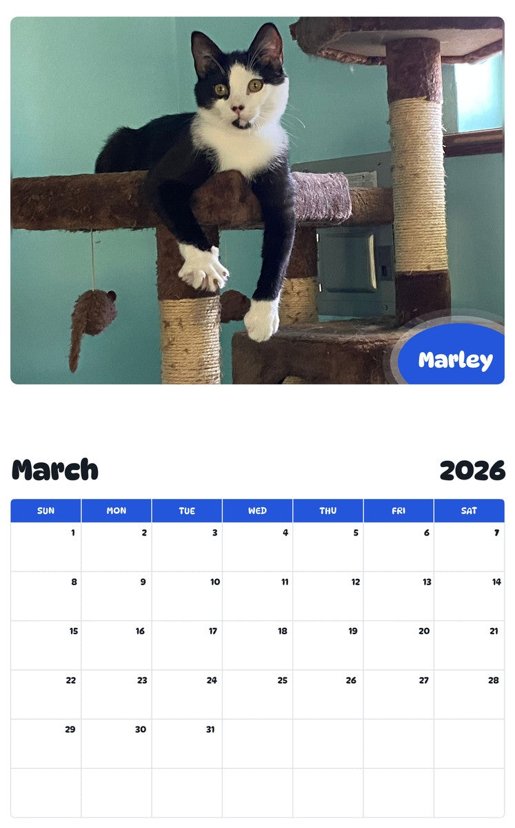 November 2025 - October 2026 Marley - Pawidols Pet Calendar