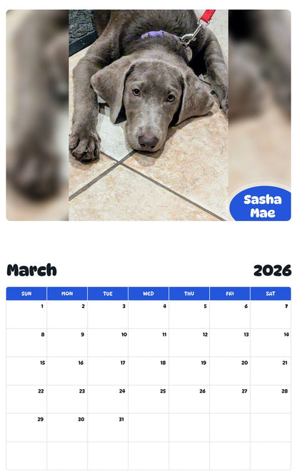 November 2025 - October 2026 Sasha Mae - Pawidols Pet Calendar