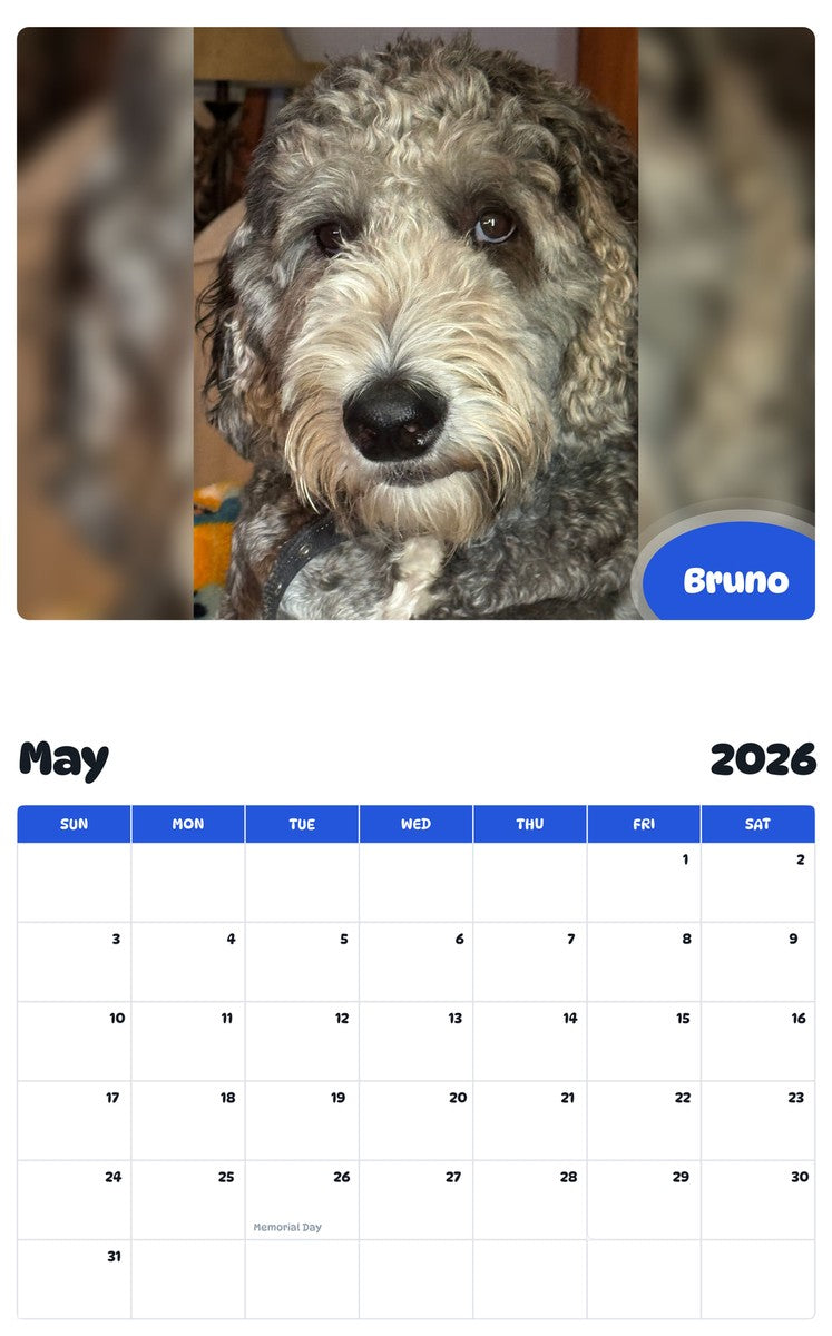 2026 - 2027 Bruno - Pawidols Pet Calendar