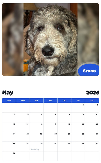 2026 - 2027 Bruno - Pawidols Pet Calendar